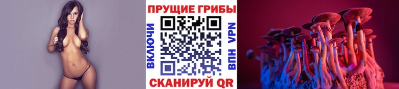Галлюциногенные грибы Cubensis  наркота  Озёры 